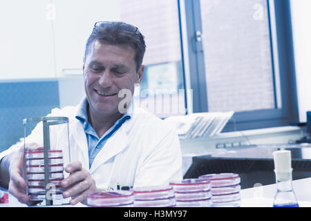 Scientist organizar cajas de petri en el rack Foto de stock