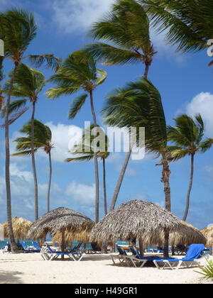 La República Dominicana, Punta Cana, Playa Bávaro, hotel Playa Bavaro Princess, palmas, sofás con filtro solar, palmas, viento, Foto de stock