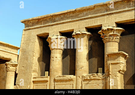 Antique pilares, capiteles vegetales, jeroglíficos, Horus, templo de Edfu, Egipto superior Foto de stock