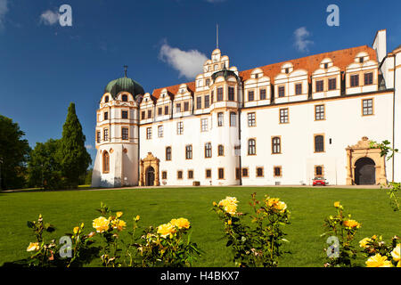 Alemania, Baja Sajonia, Celle, castillo, Foto de stock