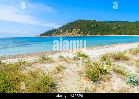 Hierba en una duna de arena y mar azul agua de Cala Pira beach, isla Cerdeña, Italia Foto de stock