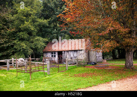La herrería / Forja en otoño en Weald y cerros museo al aire libre, el otoño paisaje muestran, Singleton, Sussex, Inglaterra Foto de stock