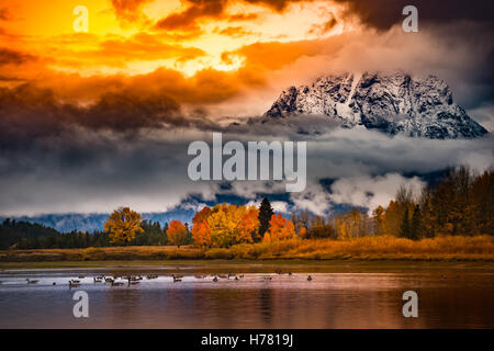 Otoño en los Tetons hermosos colores de otoño Amanecer nublado Foto de stock
