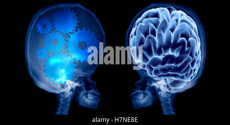 Vista lateral del hombre con cerebro y cráneo iluminados, sobre fondo  blanco Fotografía de stock - Alamy