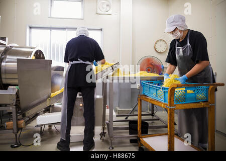 Los trabajadores de los delantales y sombreros recoger fideos recién cortadas de la correa transportadora para empaquetar y vender. Foto de stock
