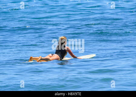 Una mujer de treinta años remando un longboard en Moffat Beach en la Sunshine Coast de Queensland, Australia. Foto de stock