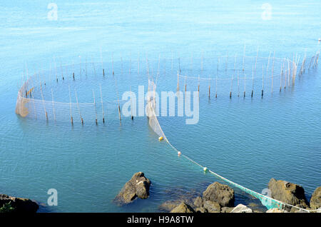 Las redes de pesca, Grand Manan Island, Canadá Foto de stock