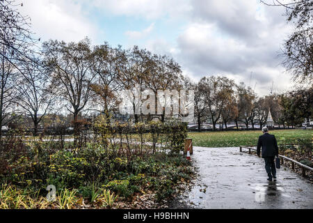 Londres, Reino Unido. 21 Nov, 2016. Londres lloviendo weather, Victoria Torre Garden el 21 de noviembre de 2016, Londres, UK Crédito: Ver Li/Alamy Live News Foto de stock