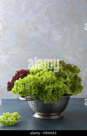 Lechuga fresca y verde , alimentos closeup