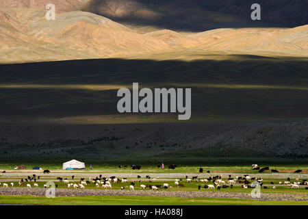 Mongolia, Bayan-Ulgii provincia, oeste de Mongolia, el color de las montañas de Altay, campamento nómada del pueblo kazajo Foto de stock