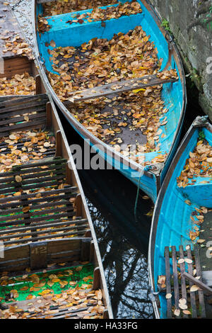Hojas de otoño caídos en barcas de remo y punts amarrado en el río cherwell en Oxford. Oxfordshire, Inglaterra Foto de stock