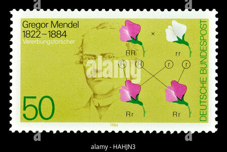 Sello postal alemán (1984) : Gregor Mendel (1822-1884), científico y Austro-German fraile agustino y abad de la Abadía de St. Thomas' en Brno; fundador Foto de stock