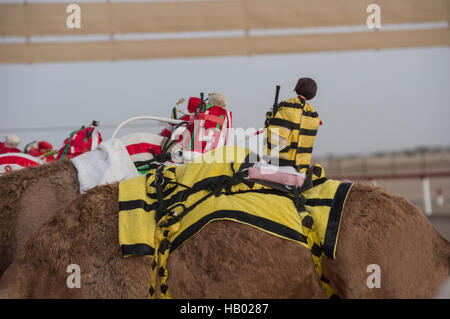 Robot jinetes a caballo monturas en camellos en la puerta de salida en una carrera de camellos en el Sultanato de Omán Foto de stock