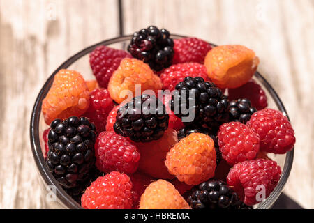 Organic golden y frambuesas rojas mezclados con moras en un tazón de