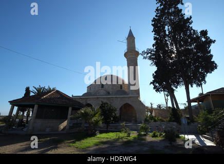 Mezquita Hala Sultan Tekke que se encuentra en el borde del lago salado en Larnaca Chipre. Foto de stock