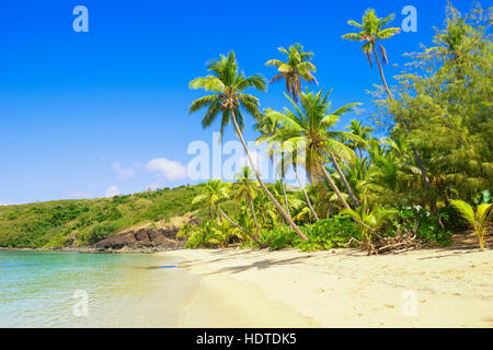 Playa Tropical, drawaqa island, el grupo de islas Yasawa, Fiji Foto de stock