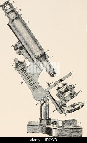 El microscopio - una introducción a los métodos microscópicos y la histología (1911) Foto de stock