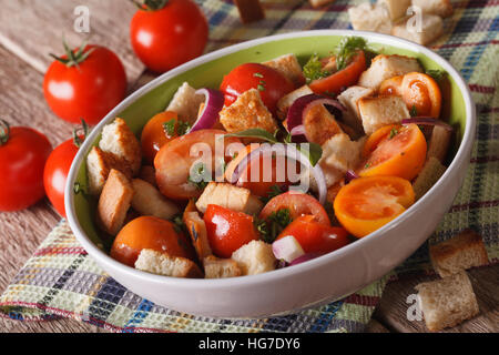Pan italiano - ensalada panzanella de cerca en la tabla horizontal, estilo rústico. Foto de stock