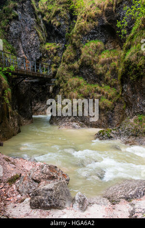 Barranco con stream, con Almbach Almbachklamm, Alpes Berchtesgaden, Berchtesgaden, Alta Baviera, Baviera, Alemania Foto de stock