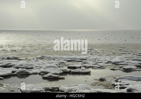 Cielo gris, alejando la vista hacia el mar con piscina gaviotas, tierra-mar rápido bloques de hielo en la playa al este de St Annes, Lancashire, UK Foto de stock
