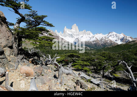 Vista del Monte Fitz Roy en la Laguna de Los Tres trail, El Chalten, Patagonia Argentina, Sudamérica