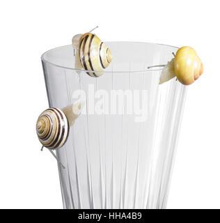 Grove caracoles en un vaso para beber