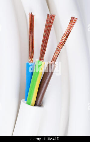 Cable de alimentación eléctrica cerca. Código de color estándar de IEC. Sección transversal del cable con chaqueta, el aislamiento del cable. Foto de stock
