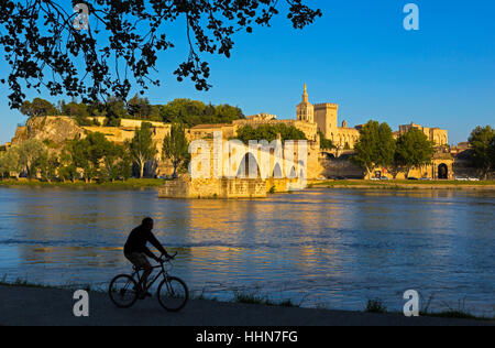 Avignon, Provence-Alpes-Côte d'Azur, Francia. Palais des Papes y el Pont St-Benezet. Palacio de los Papas y el puente de San Benezet visto a través de la Ródano Foto de stock