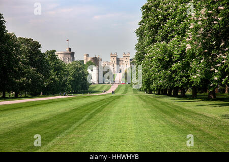 Castillo de Windsor desde la larga caminata, Berkshire, Inglaterra, Reino Unido.