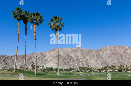 Campo de golf PGA West en la quinta, Palm Springs, California, EE.UU. Foto de stock