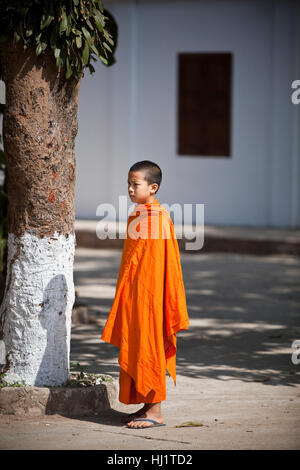 Joven Monje de Laos