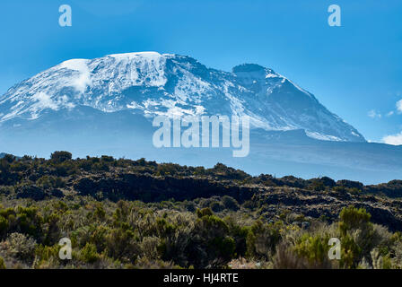 El monte Kilimanjaro, en vista del Pico Kibo desde Shira Plateau Foto de stock
