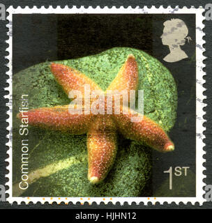 UNITED KINGDOM - CIRCA 2007: Stamps Printed In Great Britain Shows Hogwarts  Crests, Harry Potter, Circa 2007 Stock Photo, Picture and Royalty Free  Image. Image 15670235.