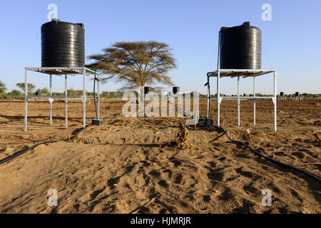 KENYA, Lodwar, 65 accres NAPUU plan de riego por goteo por el gobierno del condado, el agua es bombeada por una bomba solar a un gran depósito desde donde el agua fluye por gravedad a los tanques pequeños para el riego por goteo de verduras campos Foto de stock