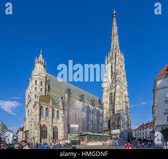 Austria, Viena, Stephansplatz, hábilmente encubierto effords conservación y restauración en la Catedral de San Esteban (Stephansdom) Foto de stock