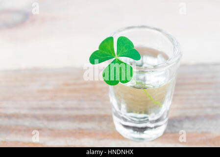 Close-up de shamrock en pequeño vaso para beber en la mesa de madera con espacio de copia