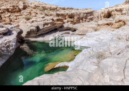 Wadi Bani khalid, Omán, Oriente Medio, Asia Foto de stock