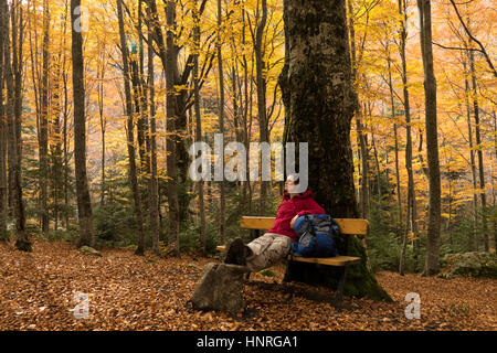 Mujer joven excursionista descansa sobre un banco bajo un viejo árbol en el bosque de otoño disfrutando de la paz y tranquilidad de la naturaleza. Foto de stock