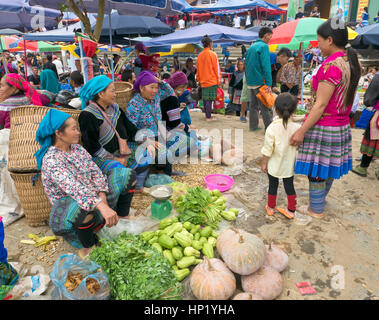 Los agricultores del mercado de Bac Ha, los agricultores nativos vendiendo sus verduras y hierbas cultivadas en casa vistiendo vestimentas nativas, conversación con amigos y clientes. Foto de stock