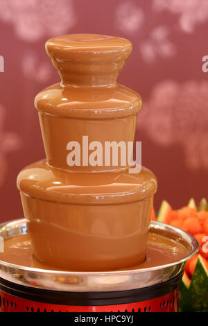 Fuente de chocolate en la boda. fuente de chocolate vibrante en la