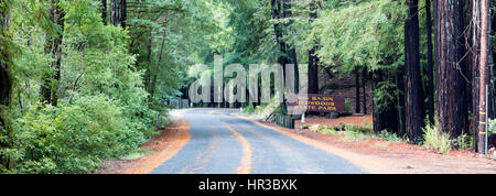 Carretera con señales de carretera, Big Basin Redwoods State Park, California, EE.UU. Foto de stock