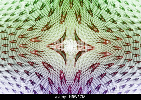 Fractal fractal imagen line está formada de pequeñas estructuras localizadas en un patrón en forma de calidoscopio. Foto de stock
