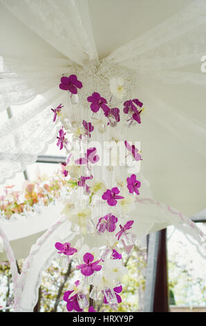 Composición decorativa de orquídeas colgando del techo. Foto de stock