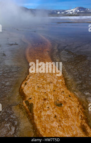 Mat bacteriana en Grand Prismatic Hot Spring, el Parque Nacional Yellowstone, Wyoming.