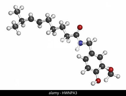 La capsaicina chili pepper molécula. Utilizado en alimentos, medicamentos, spray de pimienta, etc. 3D rendering. Los átomos son representados como esferas de color convencional codin Foto de stock