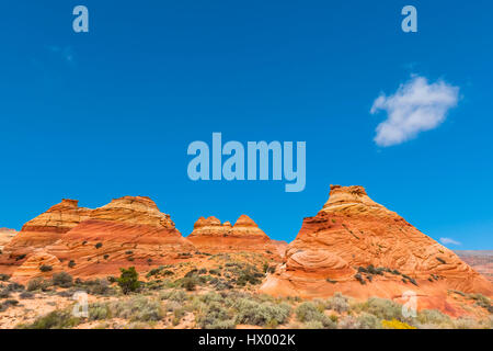 Ee.Uu., Arizona, Página, Paria Canyon, Vermillion Cliffs Wilderness, Coyote Buttes, pirámides de piedra roja y buttes Foto de stock