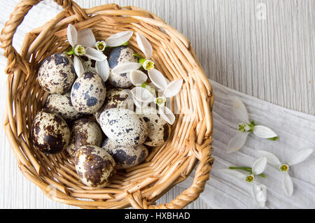Huevos de codorniz y blanco snowdrop flores en una cesta