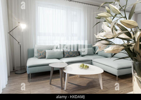 Interior moderno de un pequeño apartamento privado, sala de estar, sofá y mesas