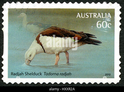 AUSTRALIA - circa 2012: una estampilla usada desde Australia, mostrando una ilustración de una Radjah Shelduck, también conocido como Tadorna radjah, circa 2012.
