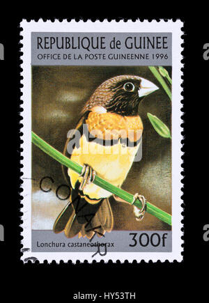 Sello de Guinea representando (Lonchura castaneothorax)